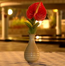 Tail Flower